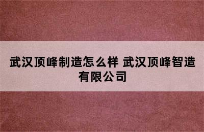 武汉顶峰制造怎么样 武汉顶峰智造有限公司